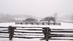 A Snowy Day at the Farm