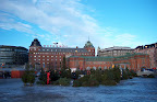 Christmas tree market in Hakaniemi