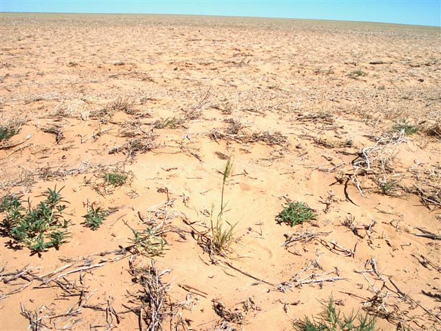 [image%255B4%255D.png]