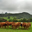 DSC_0797.JPG