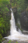 DSC_5973.JPG