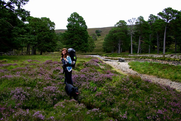 [IMG_96232.jpg]