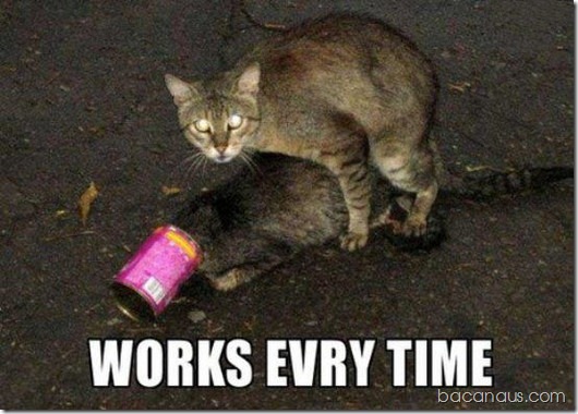 bacanaus-imagens (35)