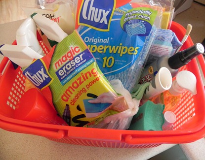 Cleaning Basket Cleaning Basket