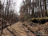 dsc06787.jpg