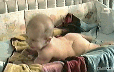 [pedo%25201%255B3%255D.gif]