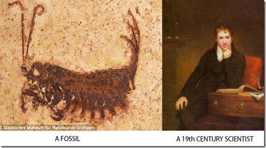 compare compare