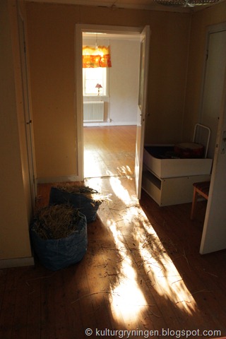 [IMG_4239%255B7%255D.jpg]