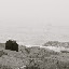 Qingdao - Vieux couple romantique by the sea