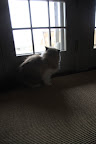 Verdi knows to be careful outside.