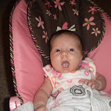 Bouncy Chair