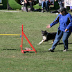 Agility - Turnier 2010 121.jpg