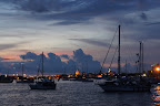 DSC02984.JPG