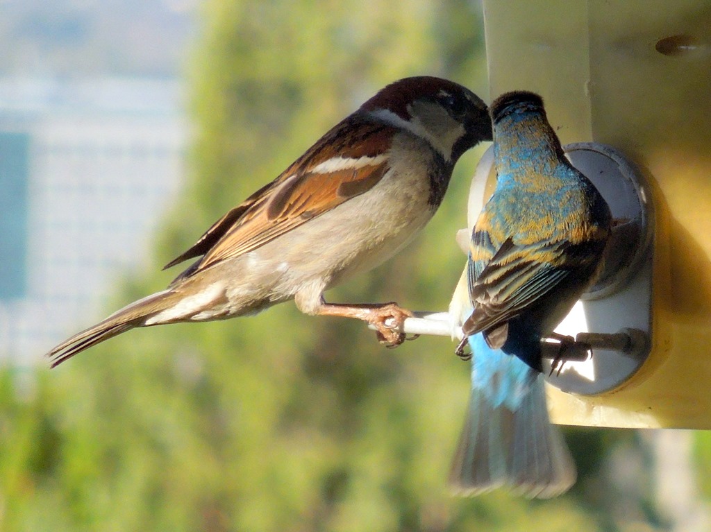 [DSCN6273%255B7%255D.jpg]