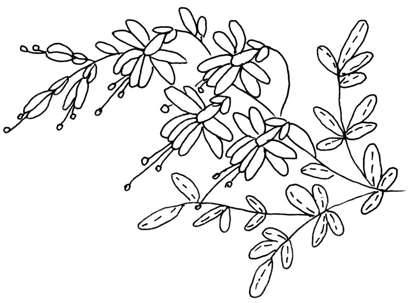 [pattern%255B2%255D.jpg]