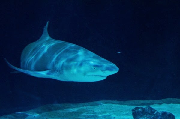 [DSC_0021%255B4%255D.jpg]