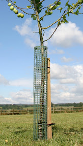Fleximesh Treeguards - Close up
