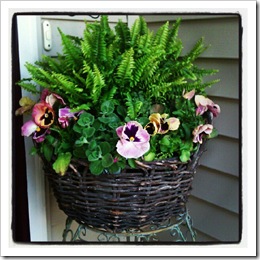 front door flowers
