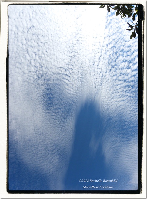 20120828_5 (4)c