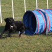 Billeder - Træning d. 29. april 2010