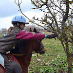 DSC_0037.JPG