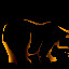 – 16-Mar-2011 – 16-Mar-2011