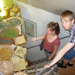DSCN3586.JPG