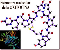 oxitocina-estructura-quimica