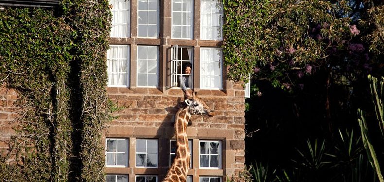 giraffe-manor-6