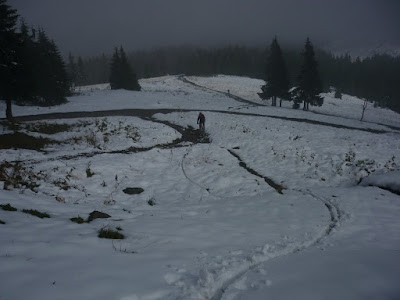Skolioza i freeride po śniegu