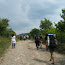 Muscel2009 004.jpg