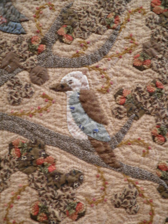 [Robyn%2520G%2520Kookaburra%255B4%255D.jpg]