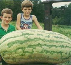 [image%255B3%255D.png]