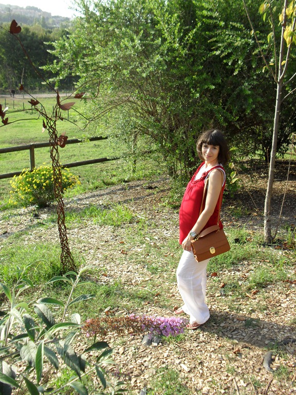 [SAM_2566%255B5%255D.jpg]