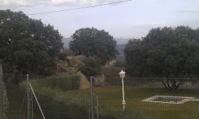IMAG0005.jpg