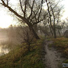 dsc07332.jpg