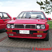 100_0494.jpg