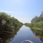 IMG_5718.JPG
