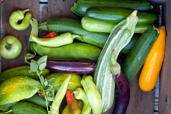 [garden-veggies1%255B3%255D.jpg]