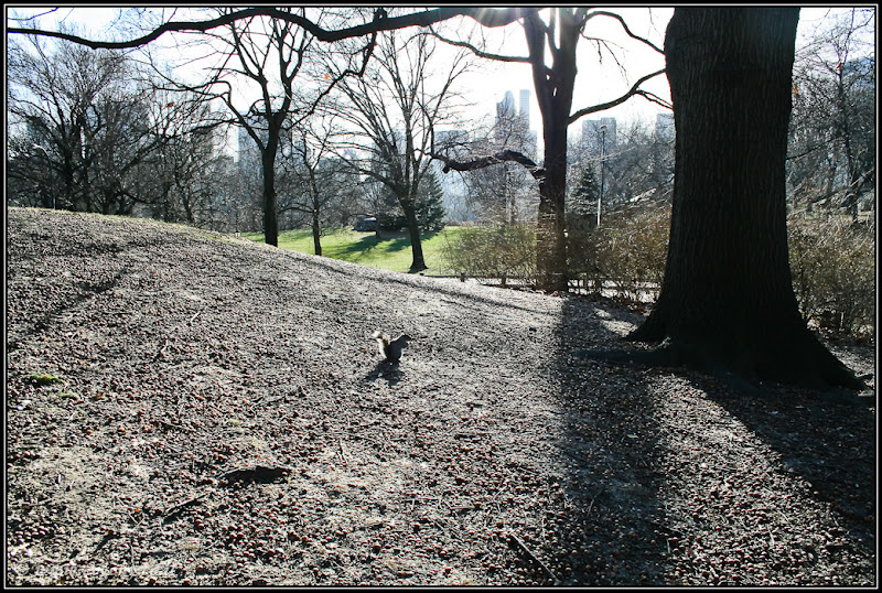Вид на Америку: Central Park (foto america  фото путешествия new york manhattan  0401%252520USA%25252C%252520NY%25252C%252520Central%252520Park 21)
