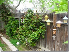 IMG_0025 IMG_0025