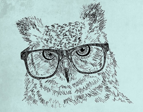 [art-bird-drawing-glasses-hipster-owl-Favim.com-63324%255B6%255D.jpg]