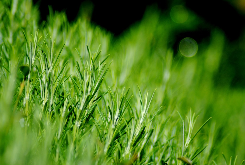 [2%2520July%25203%255B3%255D.jpg]