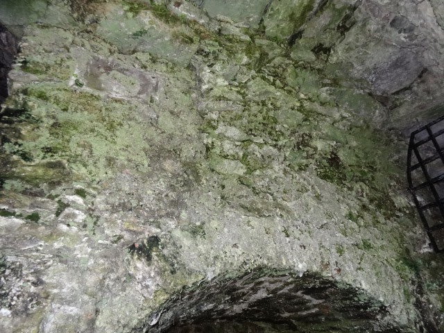 [DSC034876.jpg]