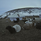 DSC_5319.jpg