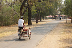 DSC01415.JPG