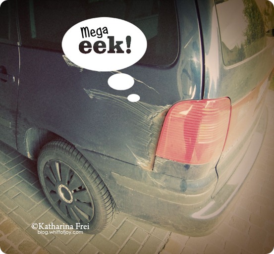 Eek6 Eek6
