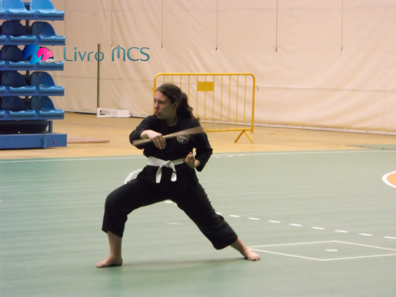 [Blog%2520Gazeta%2520de%2520Espinho008Livro%2520MCS%255B2%255D.jpg]