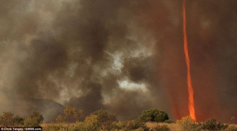 fire-tornadoes-8 fire-tornadoes-8