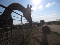 IMG_8653 IMG_8653